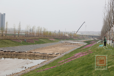 东仓河综合治理效果初显 整体工程预计6月底完工